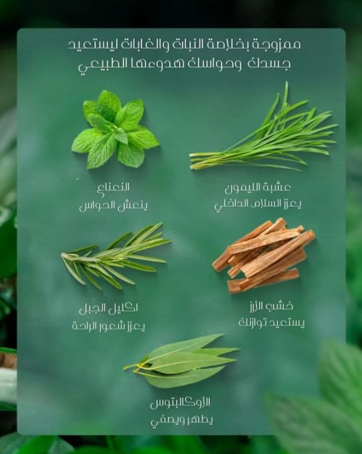 SPA CEYLON フォゲティブ ヴィダ ボディクリーム