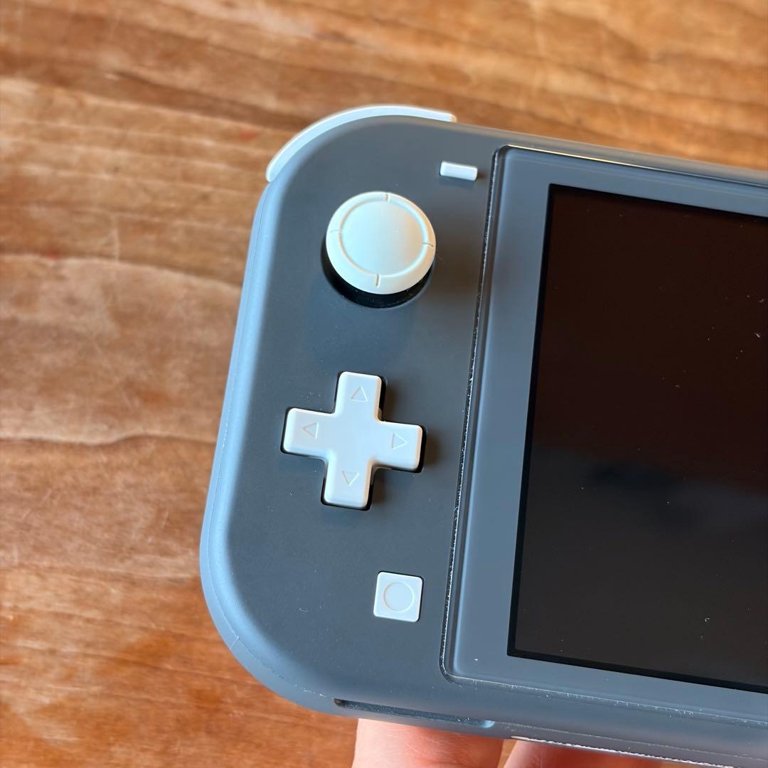 Nintendo Switch Lite 本体+社外品ケース