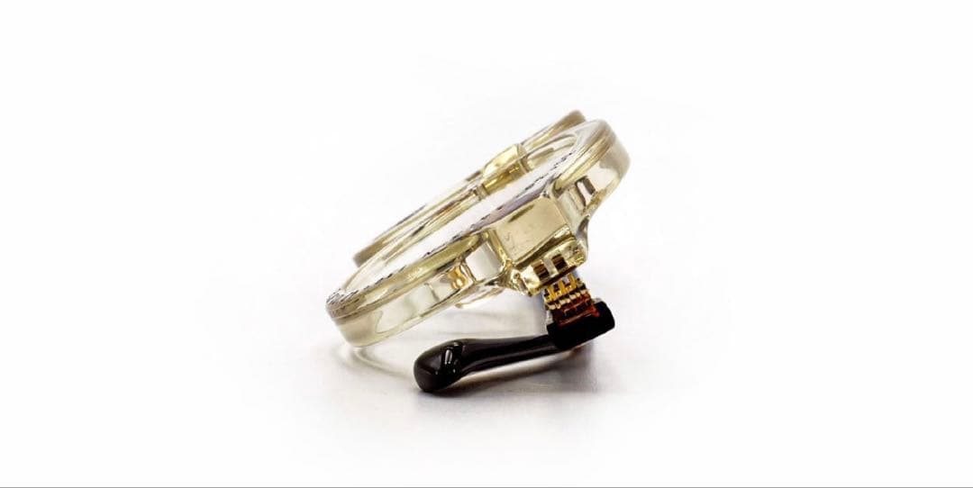 限定品　NSH サングラス