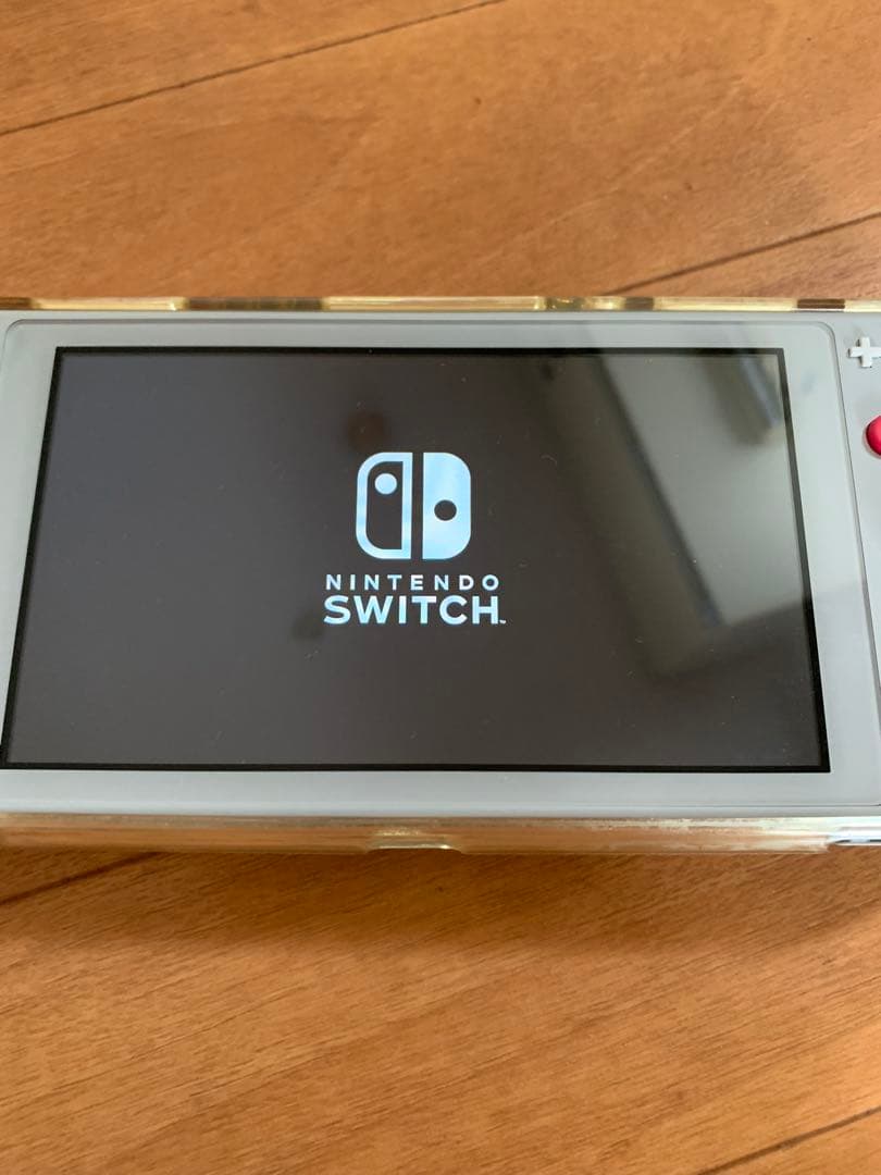 Nintendo Switch Lite グレー ACアダプター付き　箱無し