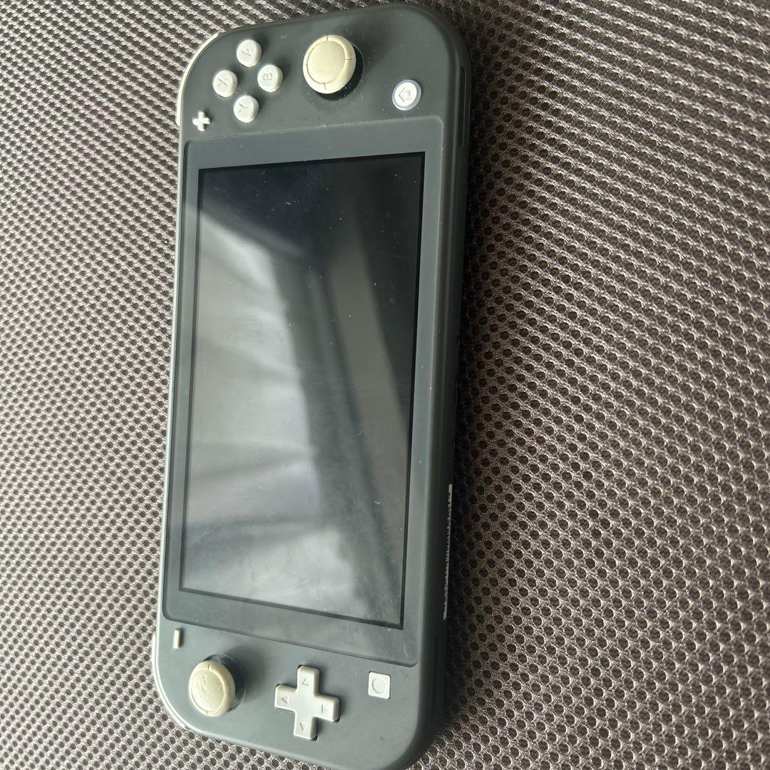 Nintendo Switch Lite グレー　充電器付