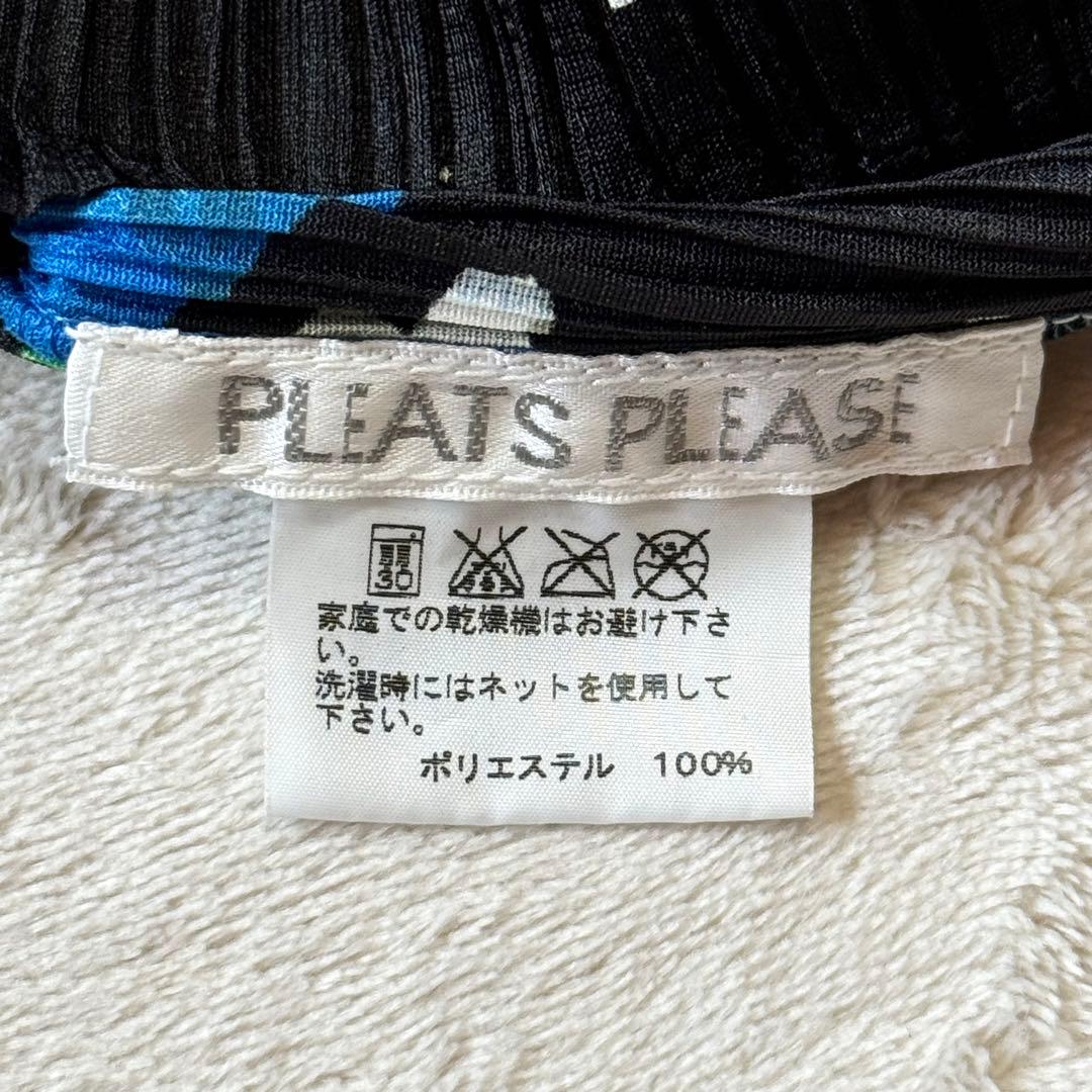 未使用級✨ プリーツプリーズ 世界地図柄 マップ 半袖カットソー 3 L相当