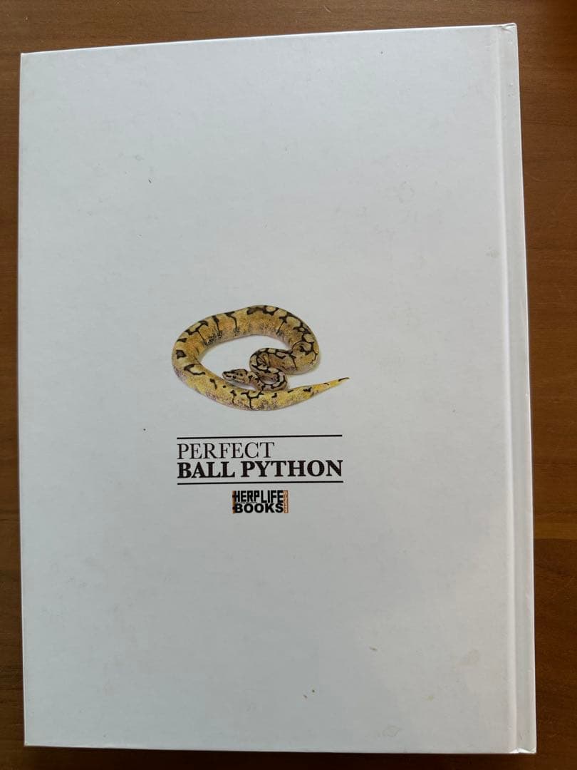 パーフェクト　ボールパイソン　PERFECT BALL PYTHON
