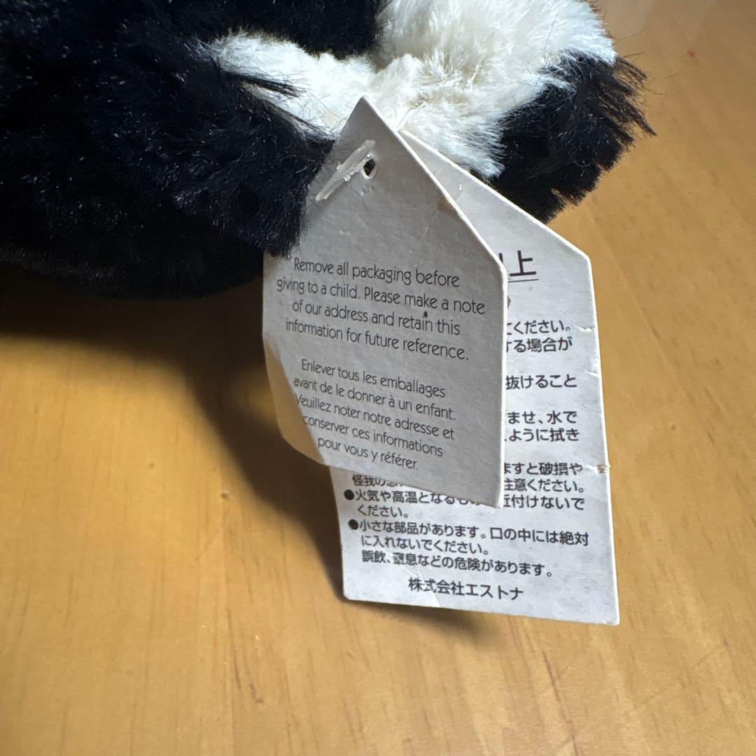 ジェリーキャット