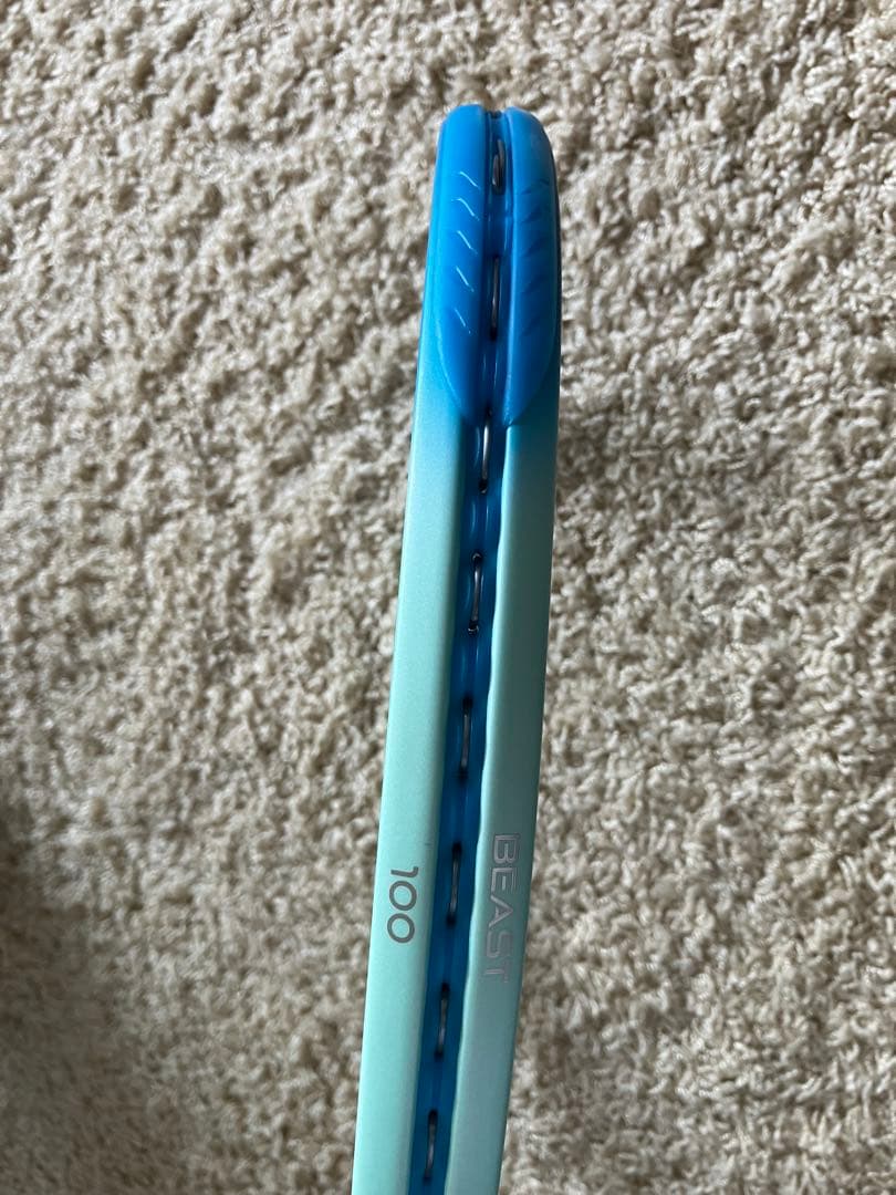 プリンス　ビースト100 280g G1 2025年4月発売