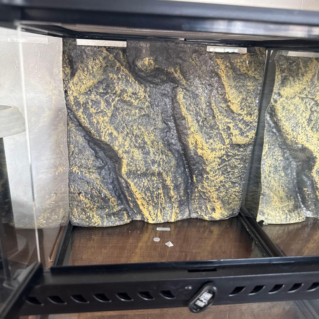 GEX エキゾテラ グラステラリウム3030 2個