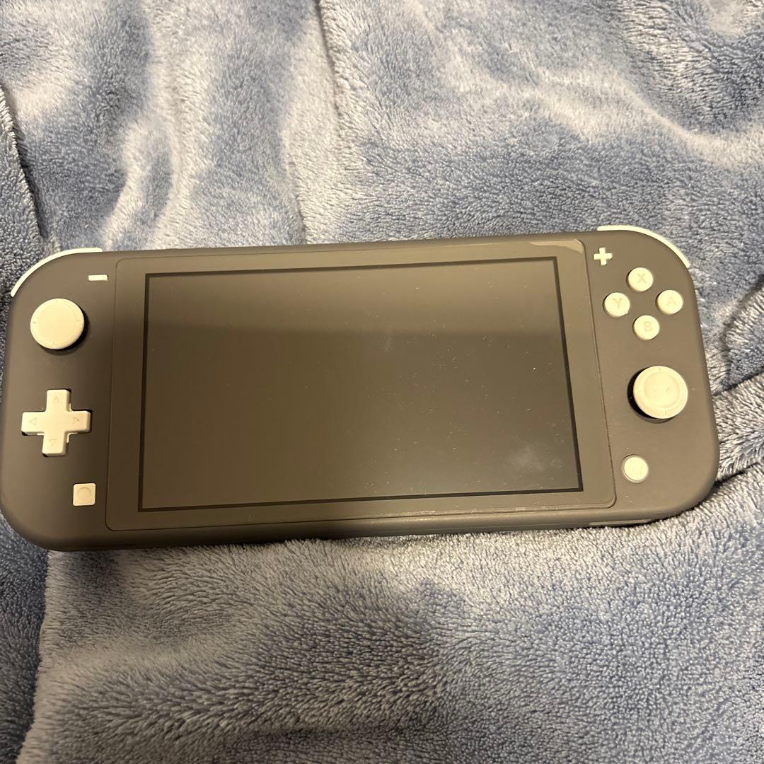 Nintendo Switch Lite グレー 本体 + 純正ケース　異常なし