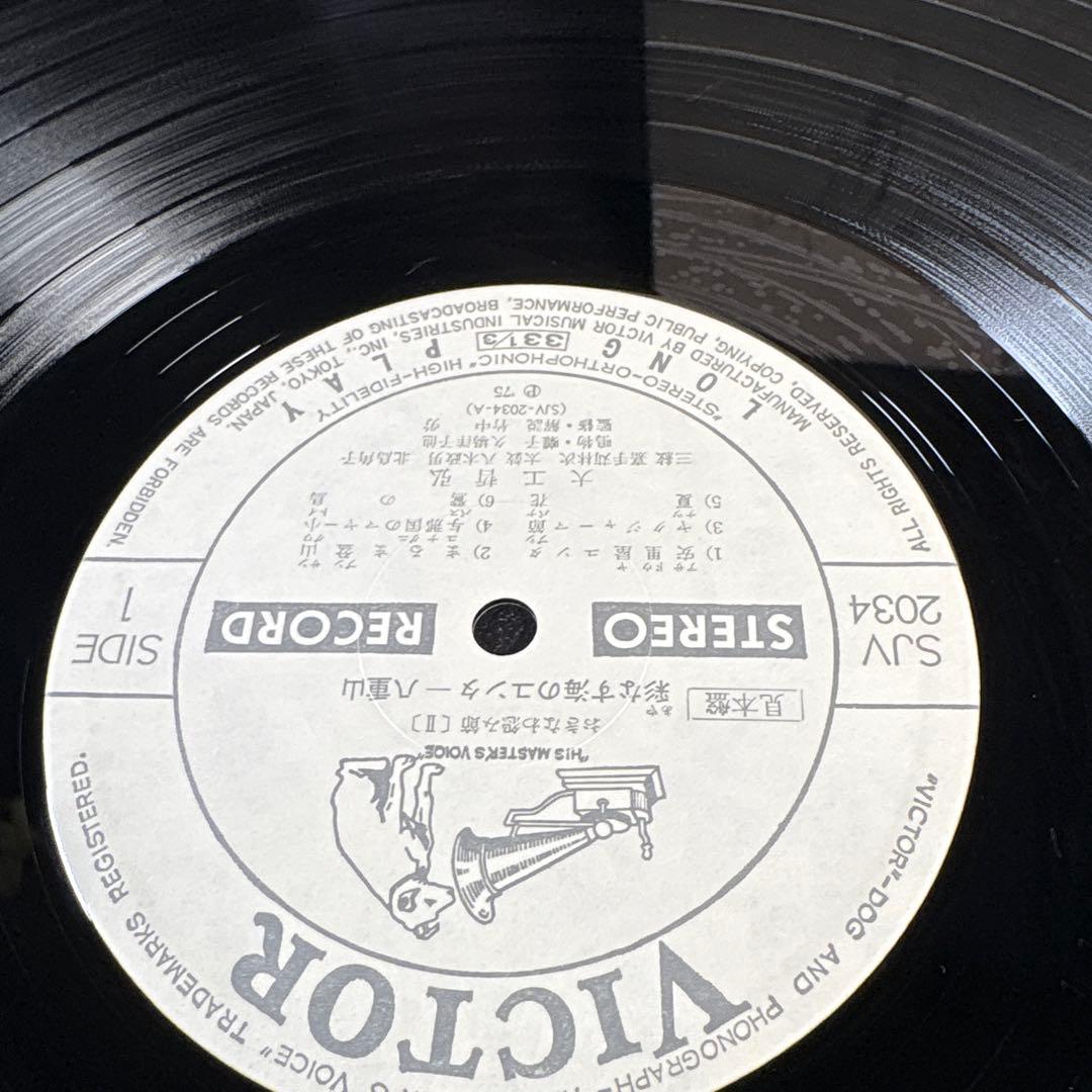 C061 彩なす海のユンタII 八車山 SJV-2034 見本　サンプル