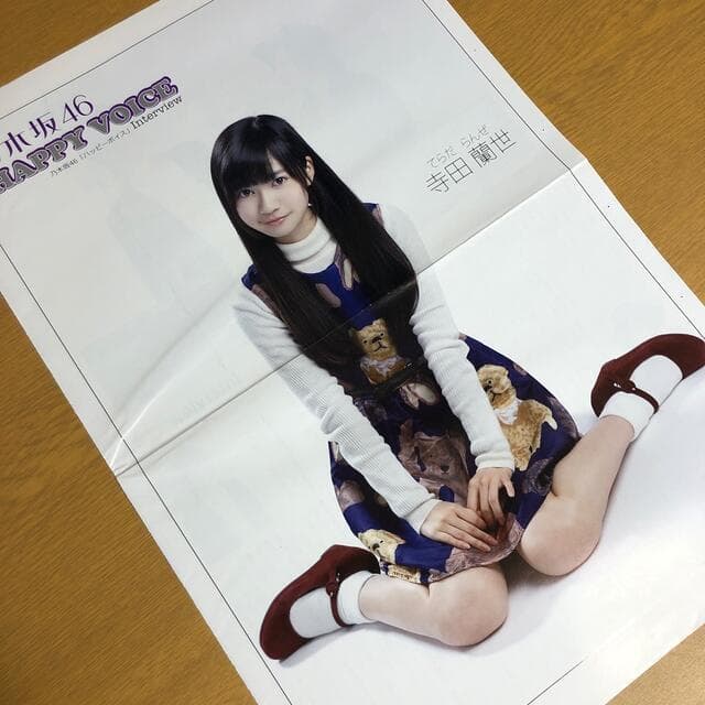 【SALE】乃木坂46 寺田蘭世さん掲載ページ（ポスターサイズ）#8050