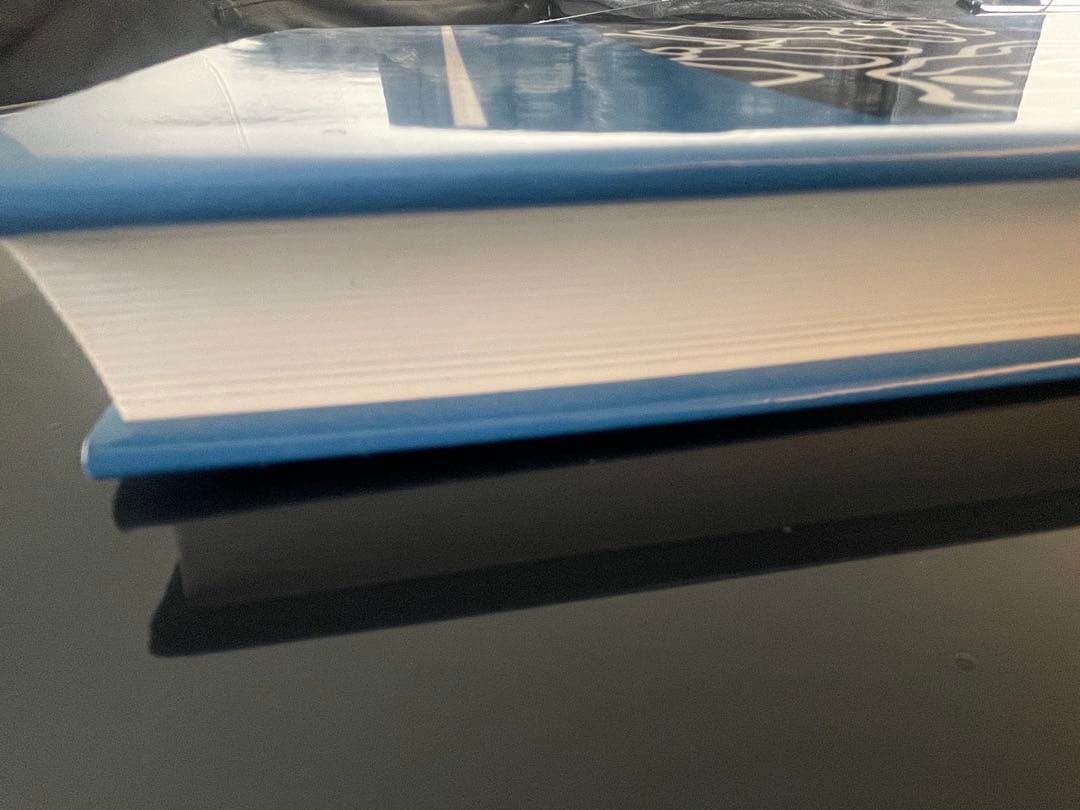 図説 AKのテクニック ―アプライド・キネシオロジーの理論と治療法― ほぼ未使用