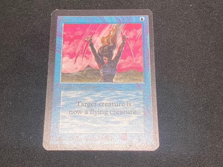 MTG 【ALPHA】 アルファ版 5枚セット