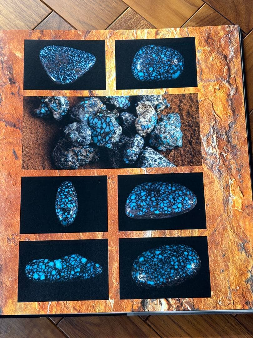 Jewel of the Southwest Turquoise 本　ターコイズ