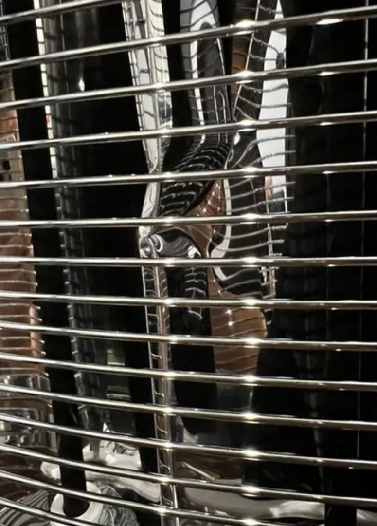 さ*ん様 激安 遠赤外線電気暖房機 コロナ コアヒート AH-1220R-SS