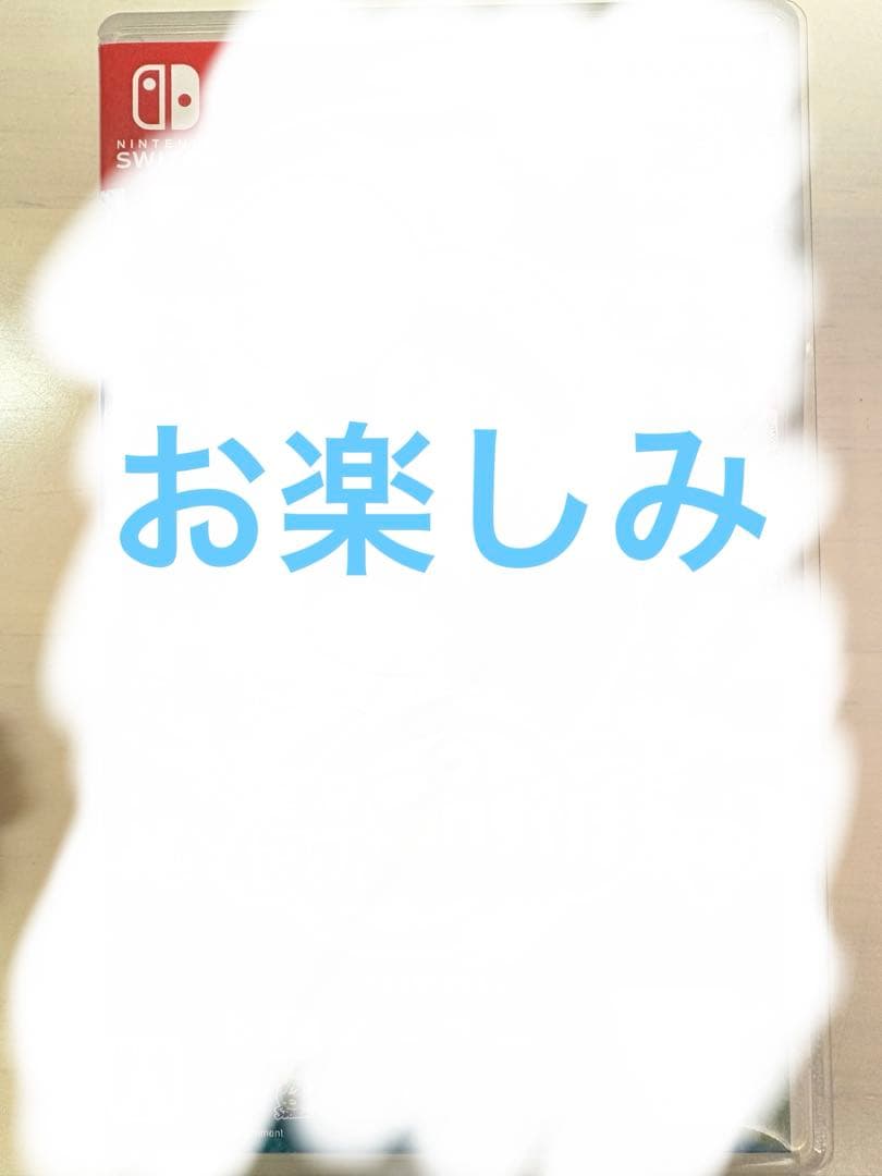 Nintendo Switch Lite＋おまけ