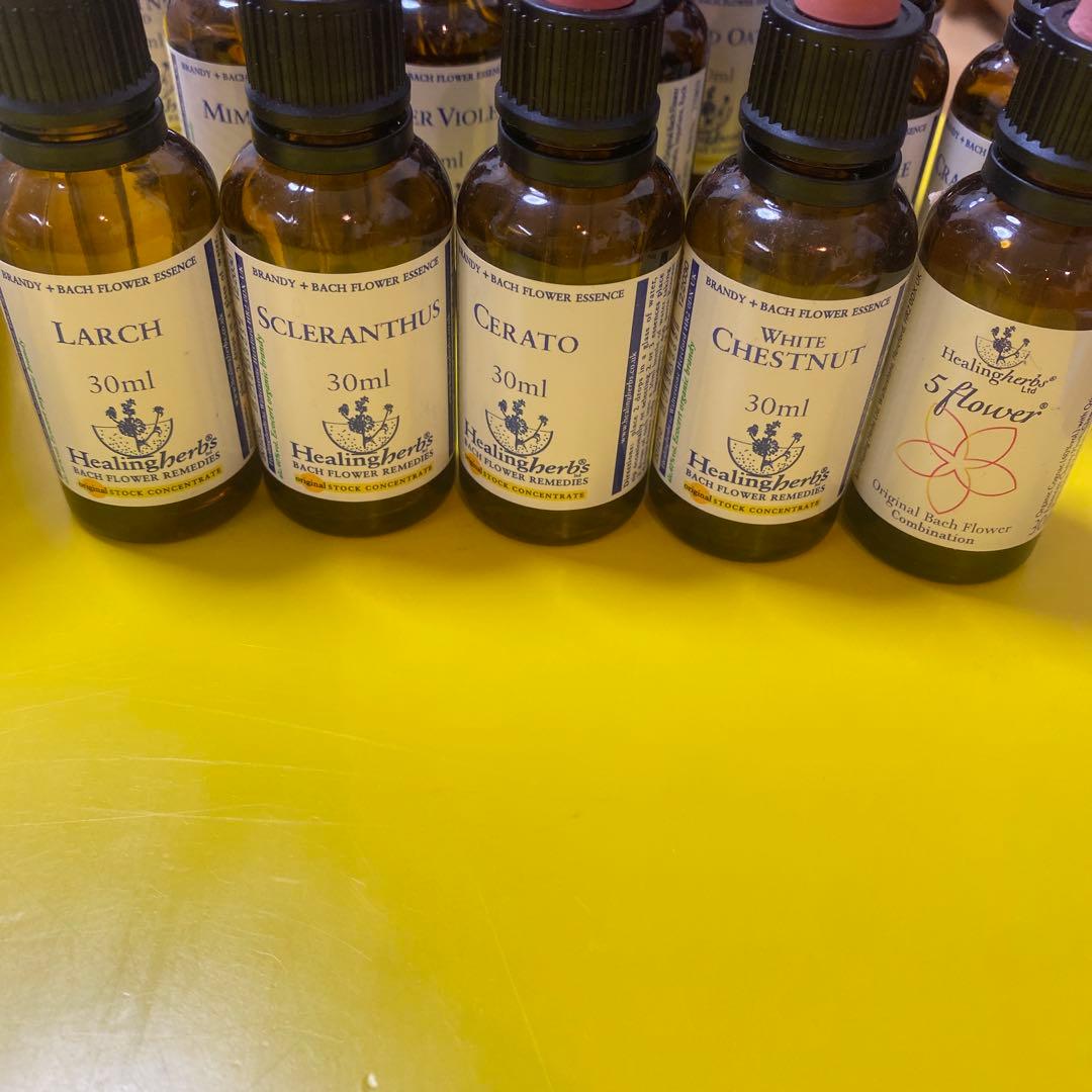 バッチフラワーレメディー　全種類　（30ml 10ml）