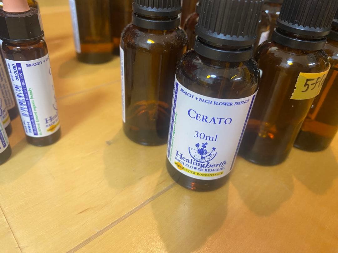 バッチフラワーレメディー　全種類　（30ml 10ml）