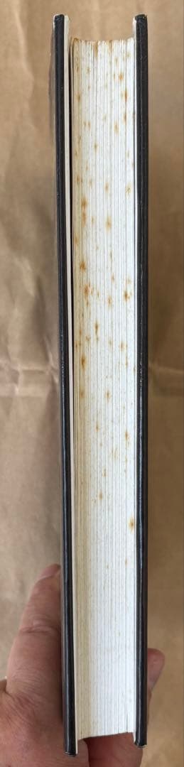 洋書 Fitzgerald and Hemingway