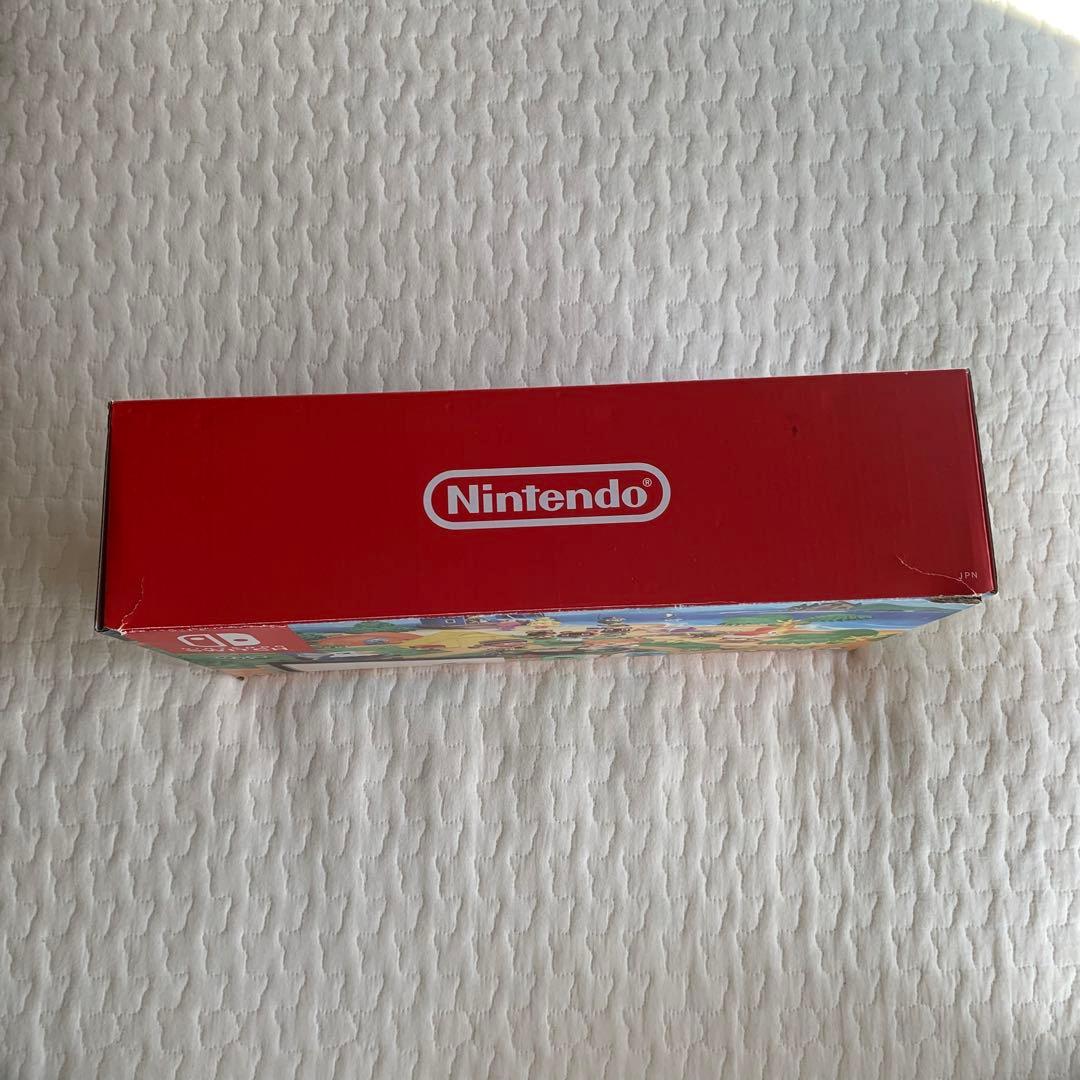 Nintendo Switch どうぶつの森