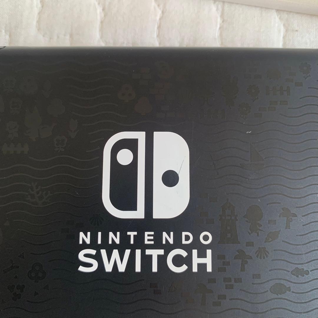 Nintendo Switch どうぶつの森