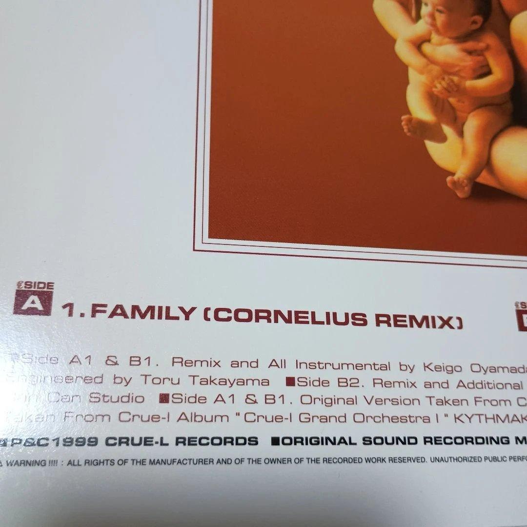 レコード２枚組　クルーエル　グランド　オーケストラ　コーネリアス