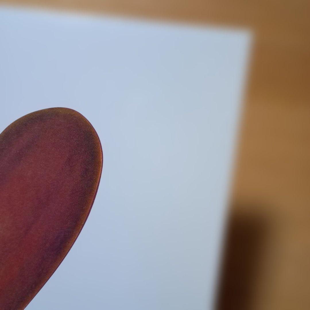 レコード２枚組　クルーエル　グランド　オーケストラ　コーネリアス