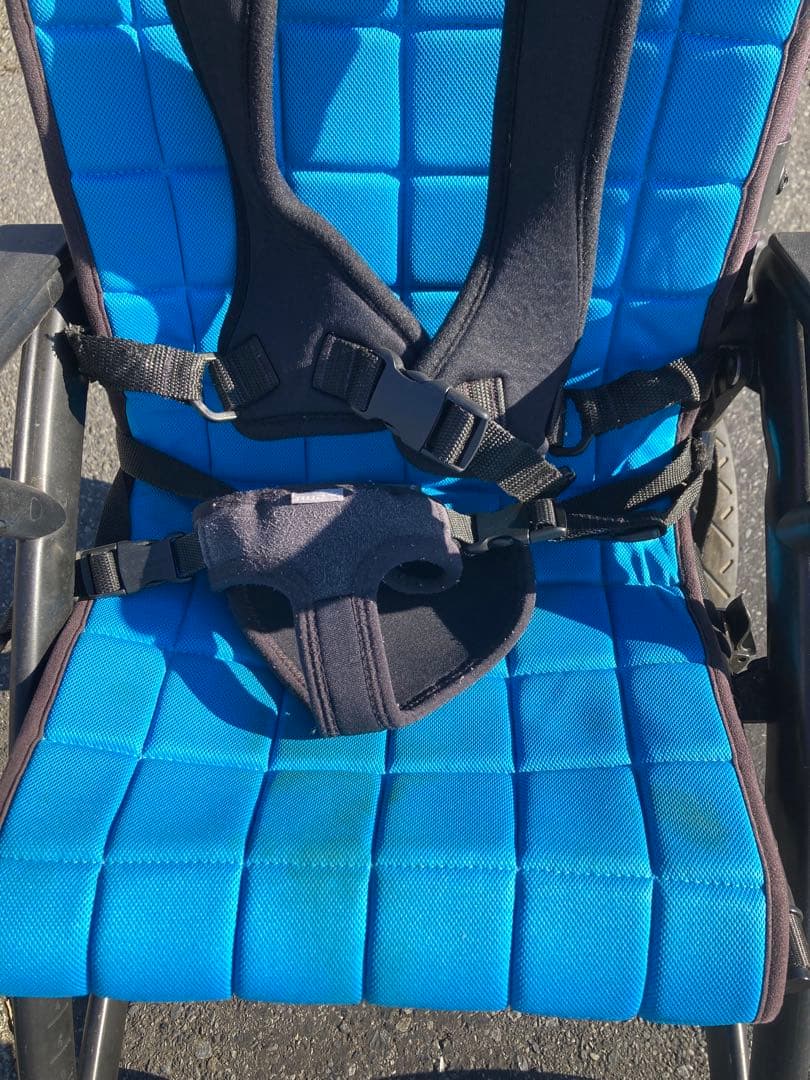 子ども福祉用バギー　クリケット（5点式安全ベルト付き）