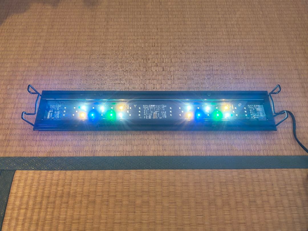 Grassy Wing2 60 Marine/グラッシーウィング2 60マリン