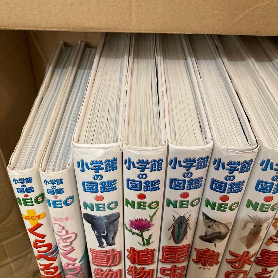 小学館の図鑑NEO 15巻セット