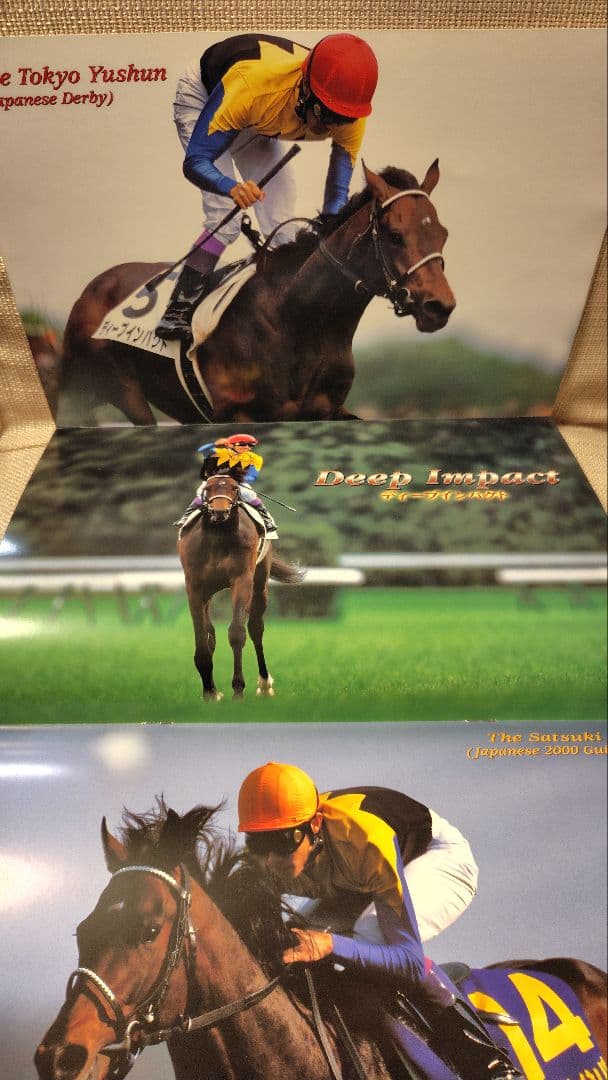 第66回 菊花賞 レーシングプログラム ディープインパクト