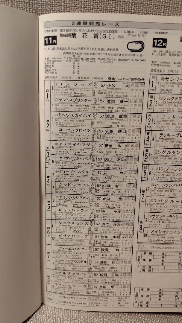 第66回 菊花賞 レーシングプログラム ディープインパクト