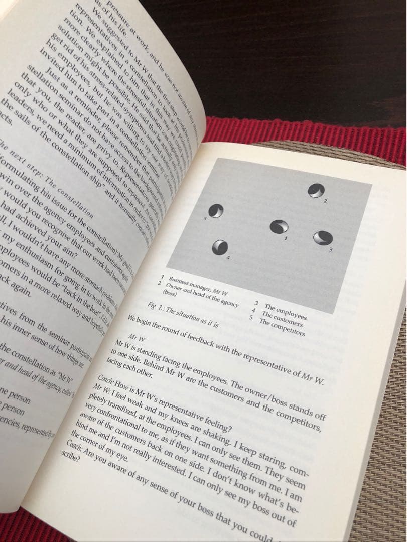 洋書 Invisible Dynamics - Klaus P. Horn