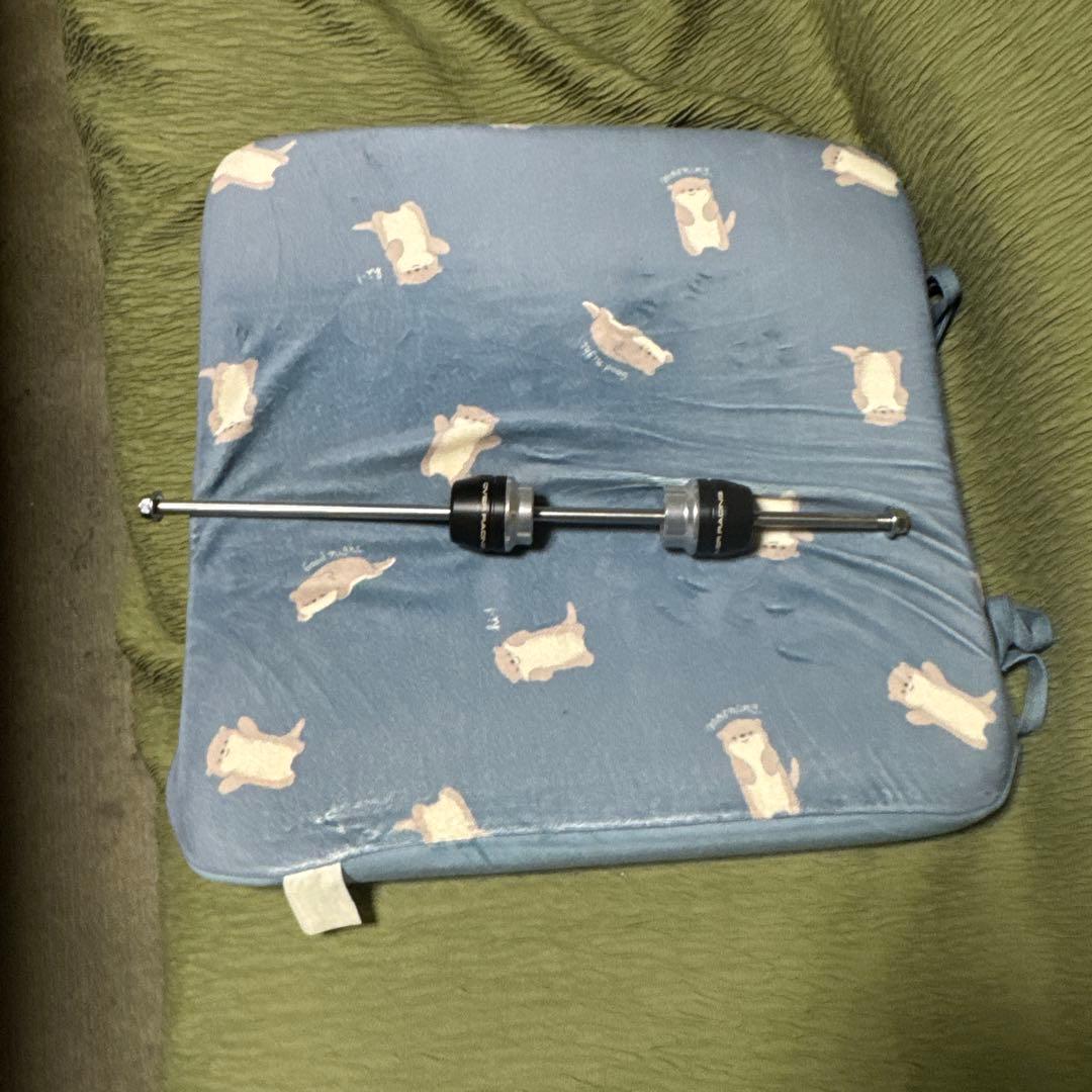 Z900RS OVERレーシング　リアアクスルスライダー