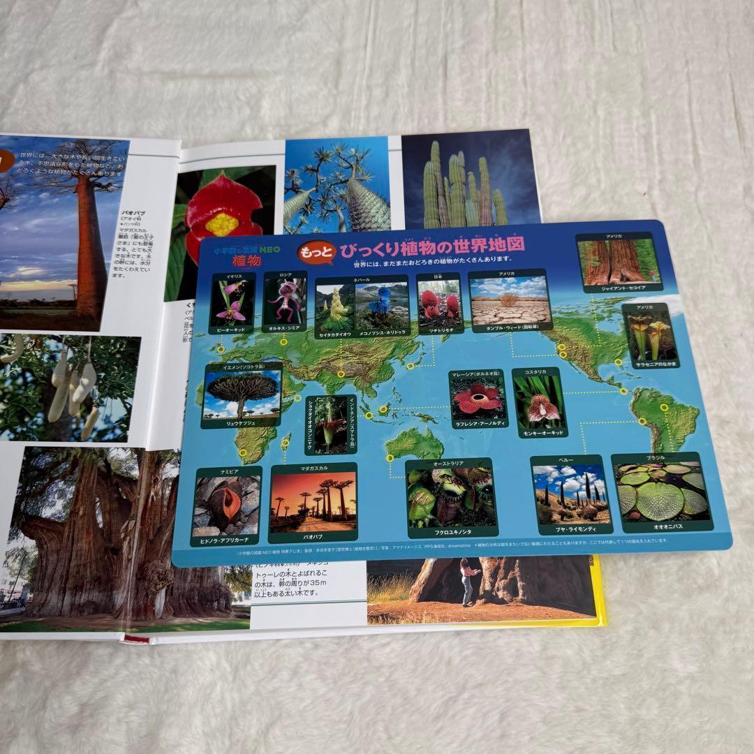 【良品】小学館の図鑑NEO 全巻20冊セット （付録つき多数）