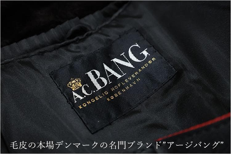 【新品】is-341201-14/SAGA/シェアドミンク/9-13号