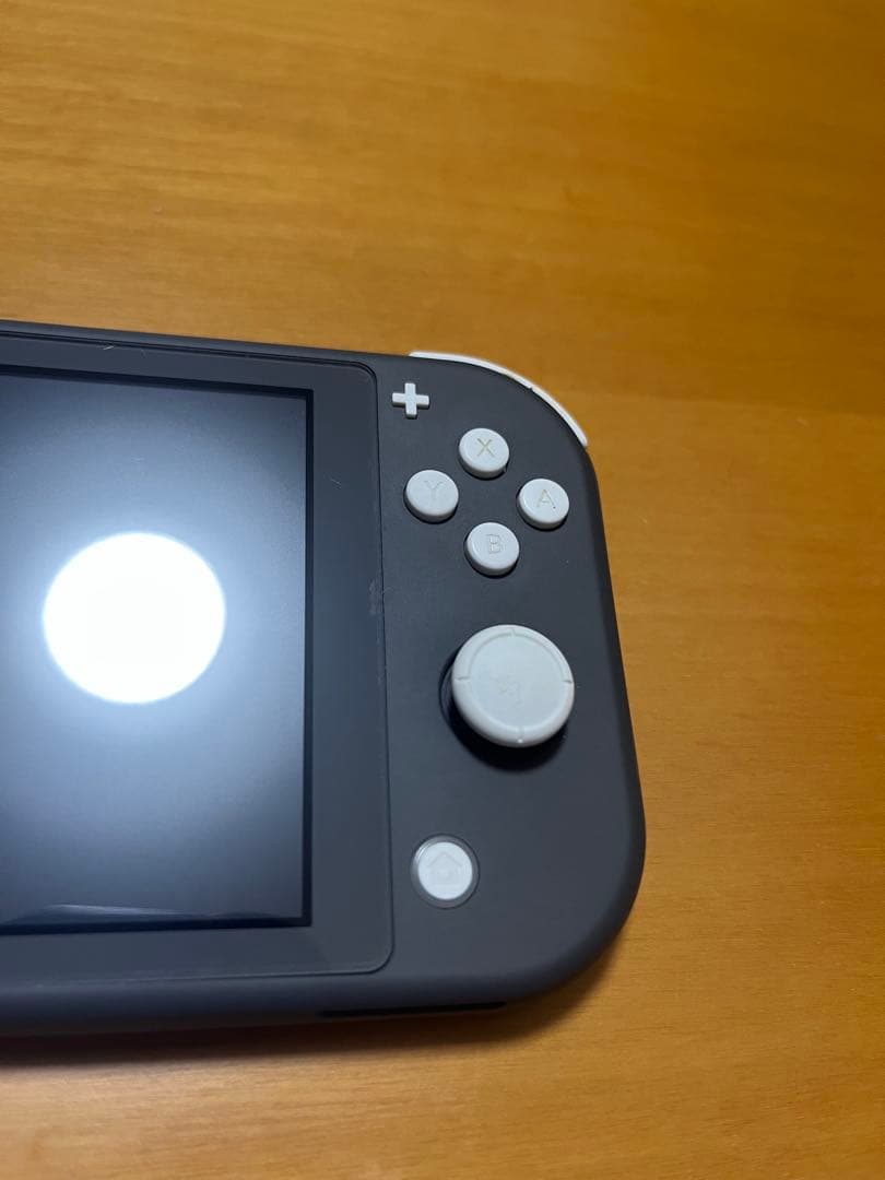 「Switch Lite グレー 本体 モンハン充電器ケース付」