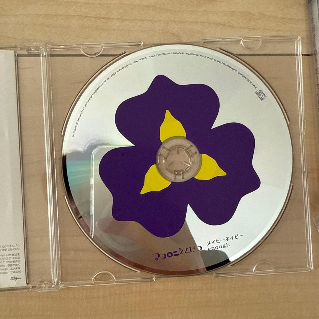 マカロニえんぴつ 廃盤 CD メイビーネイビー 今抱きしめる足りないだけを