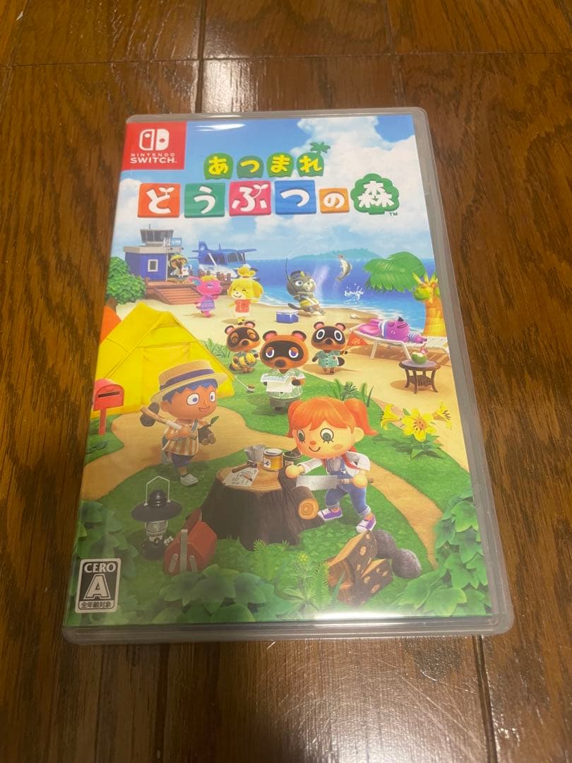 Nintendo Switch グレー 本体　あつまれどうぶつの森、ケース付き