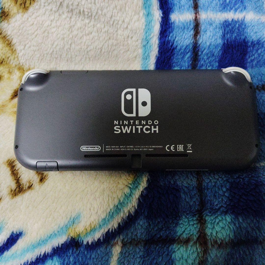 Switchliteジャンク品