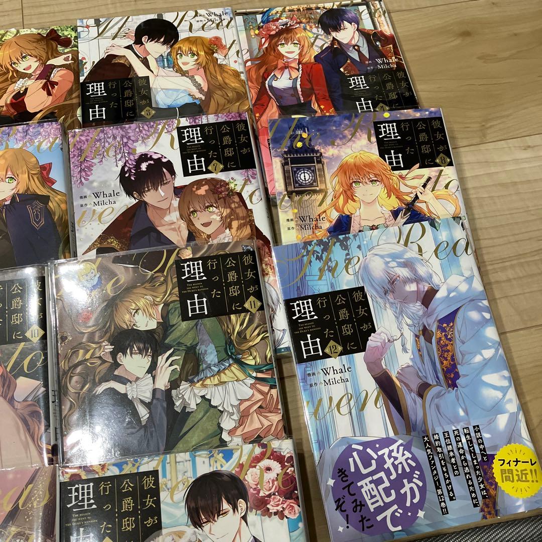 彼女が公爵邸に行った理由 全14巻