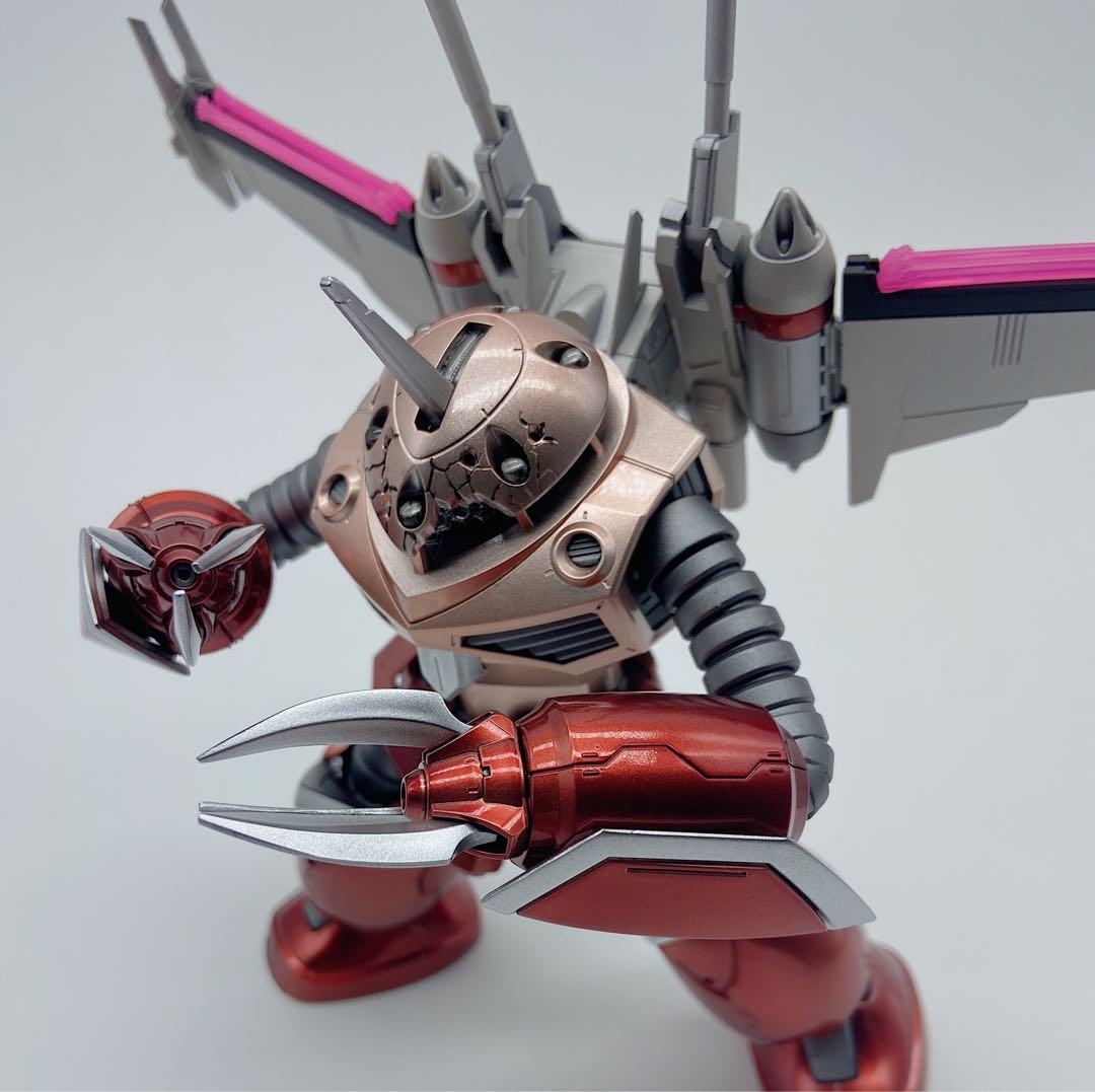 HG ズゴック 機動戦士ガンダムSEED FREEDOM 全塗装　完成品