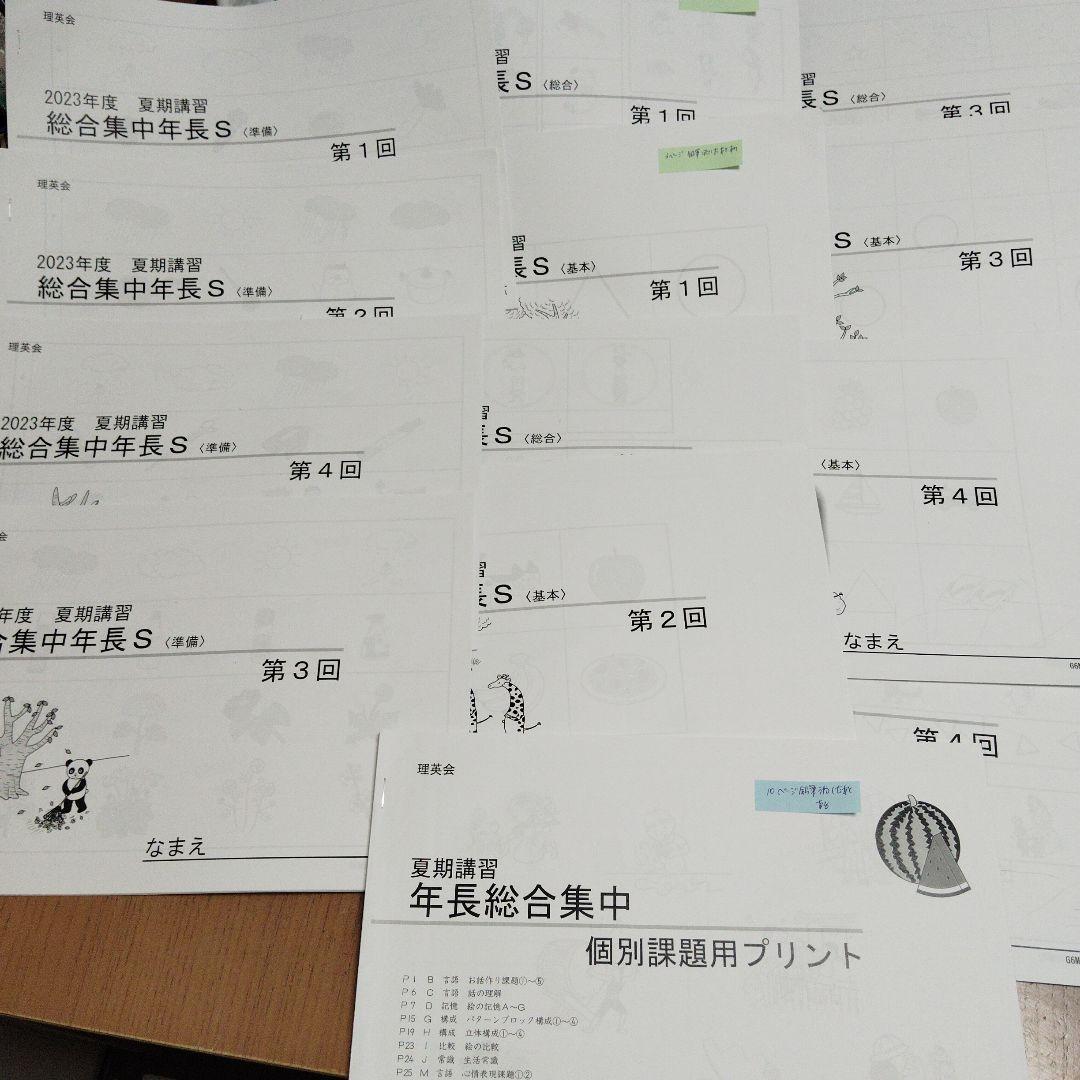 2023年度　理英会　夏期講習　総合集中S 準備　基本　総合　個別課題用プリント