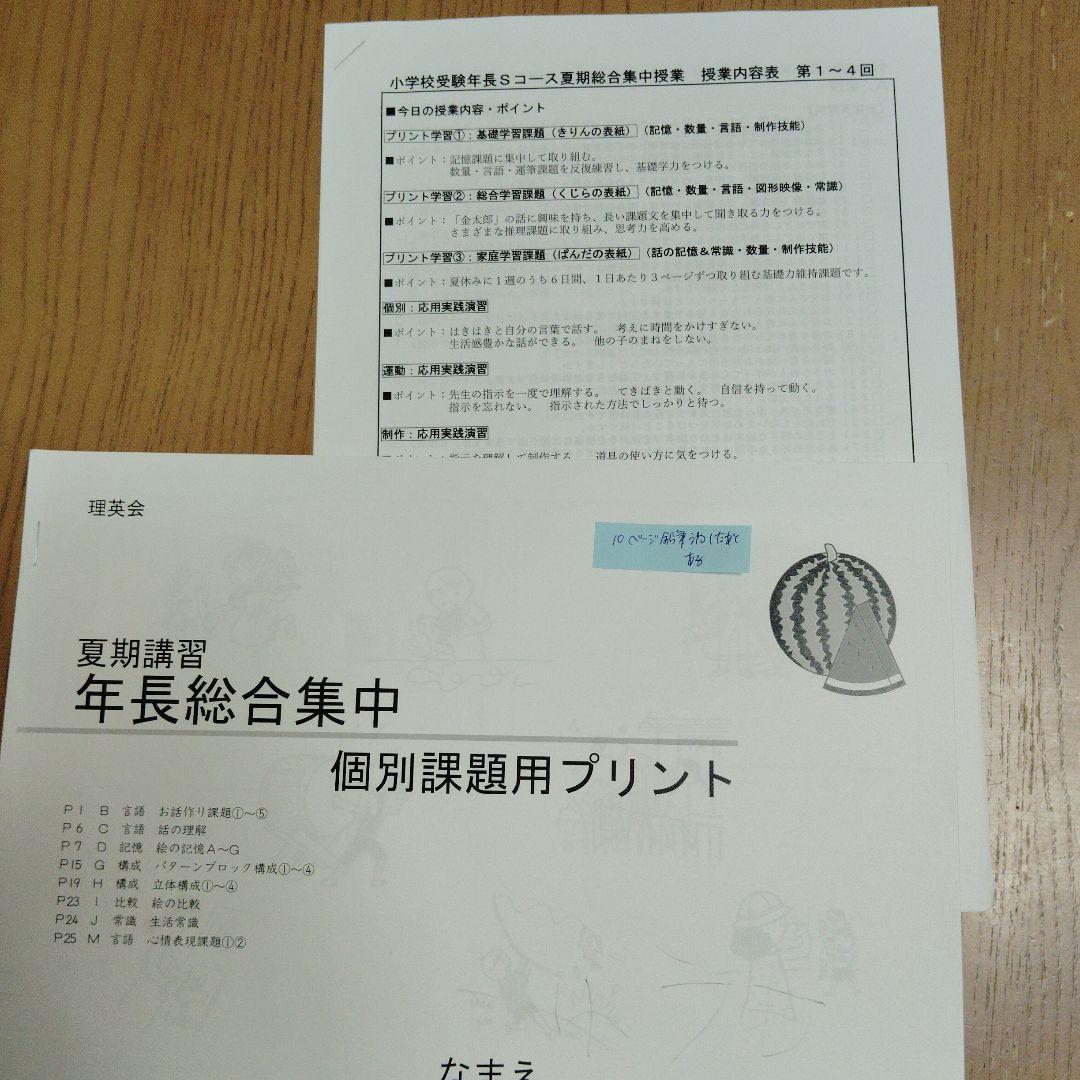 2023年度　理英会　夏期講習　総合集中S 準備　基本　総合　個別課題用プリント