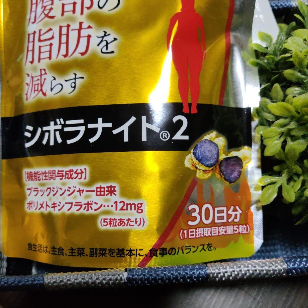 明治薬品　シボラナイト2　(4袋) [賞味期限 2026.12]