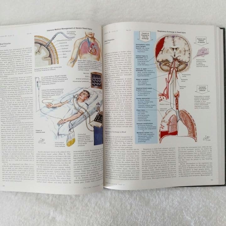 洋書 ・希少 CIBA医学イラスト集第1巻 Ⅱ フランクH.ネッター／英語版