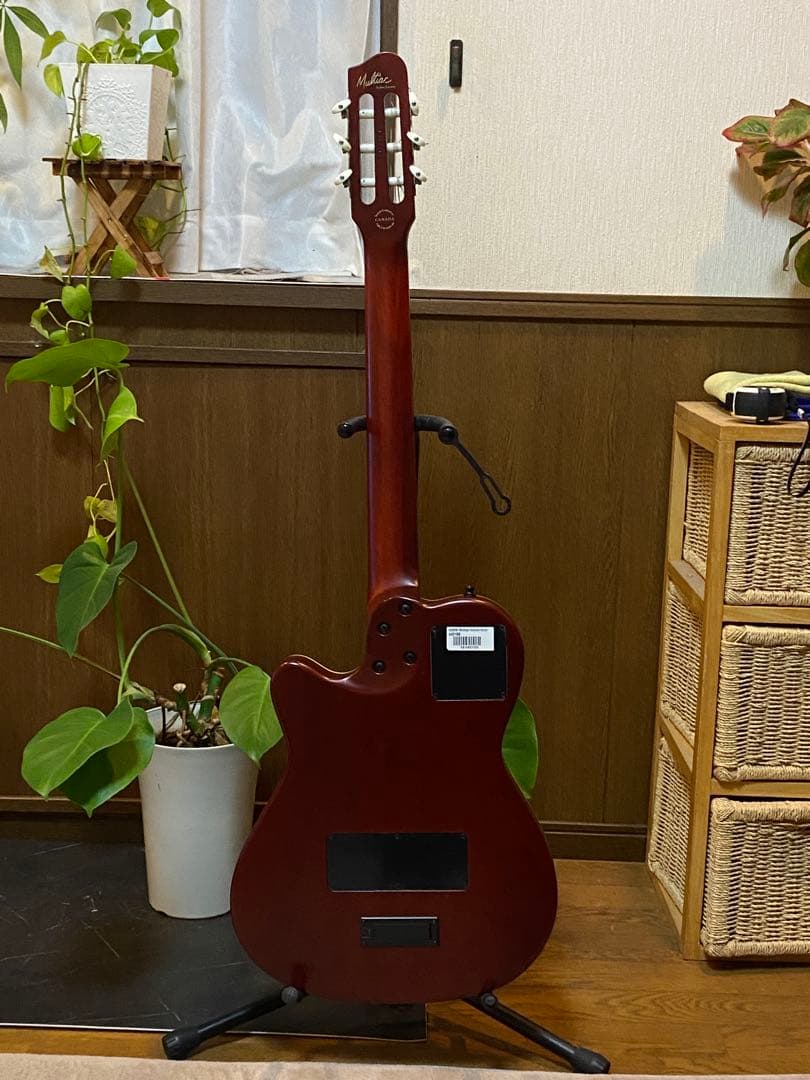 Godin Multiac Nylon Encore 中古美品