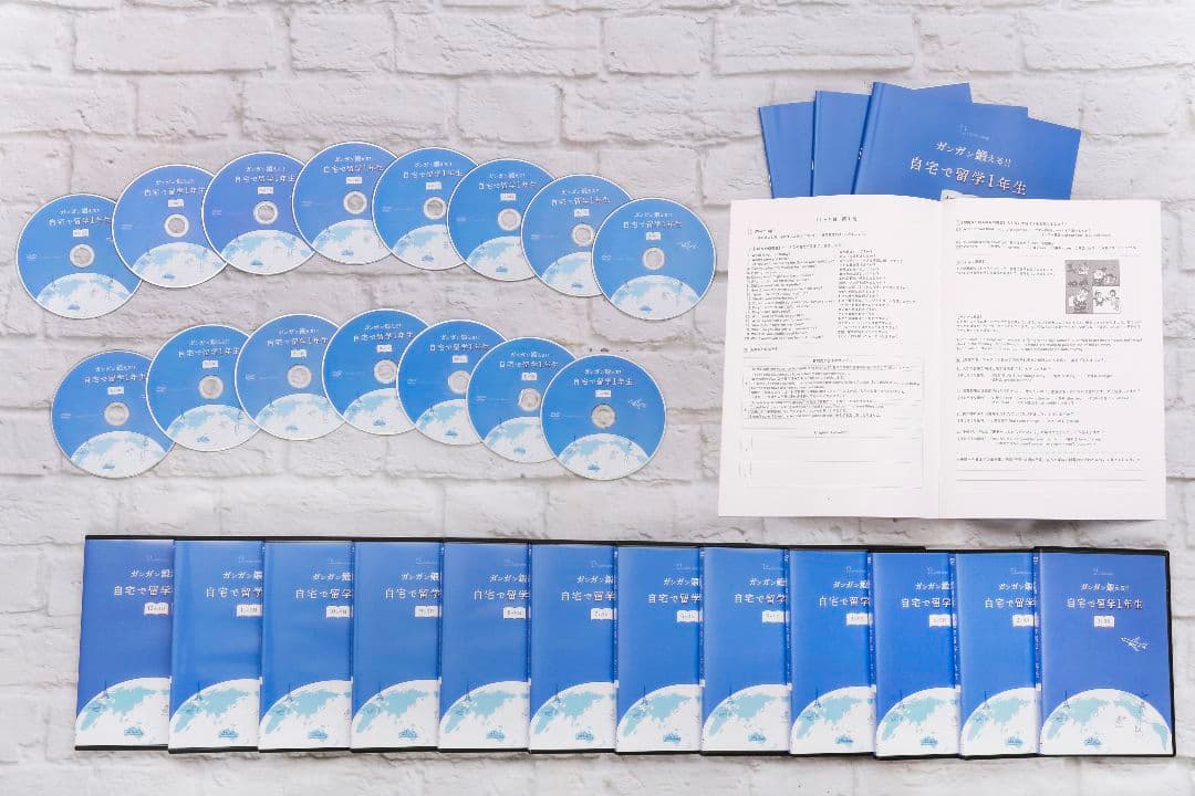 留学レベルの英会話力養成DVD 週1レッスン×1年間分 （メールサポート1年分）