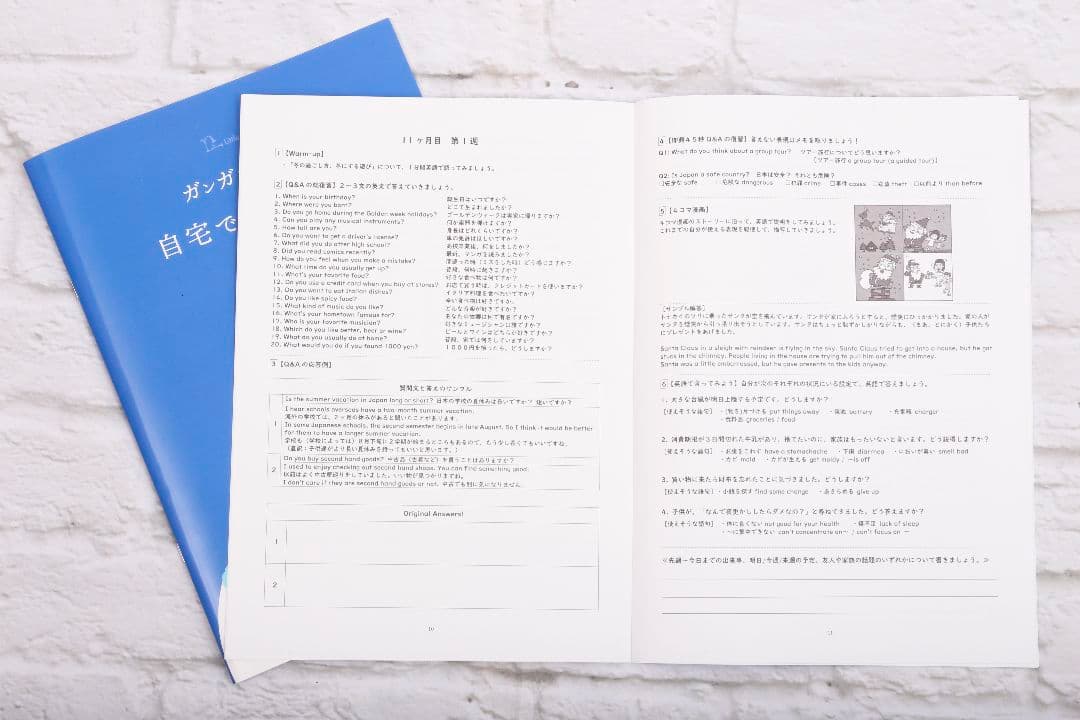 留学レベルの英会話力養成DVD 週1レッスン×1年間分 （メールサポート1年分）