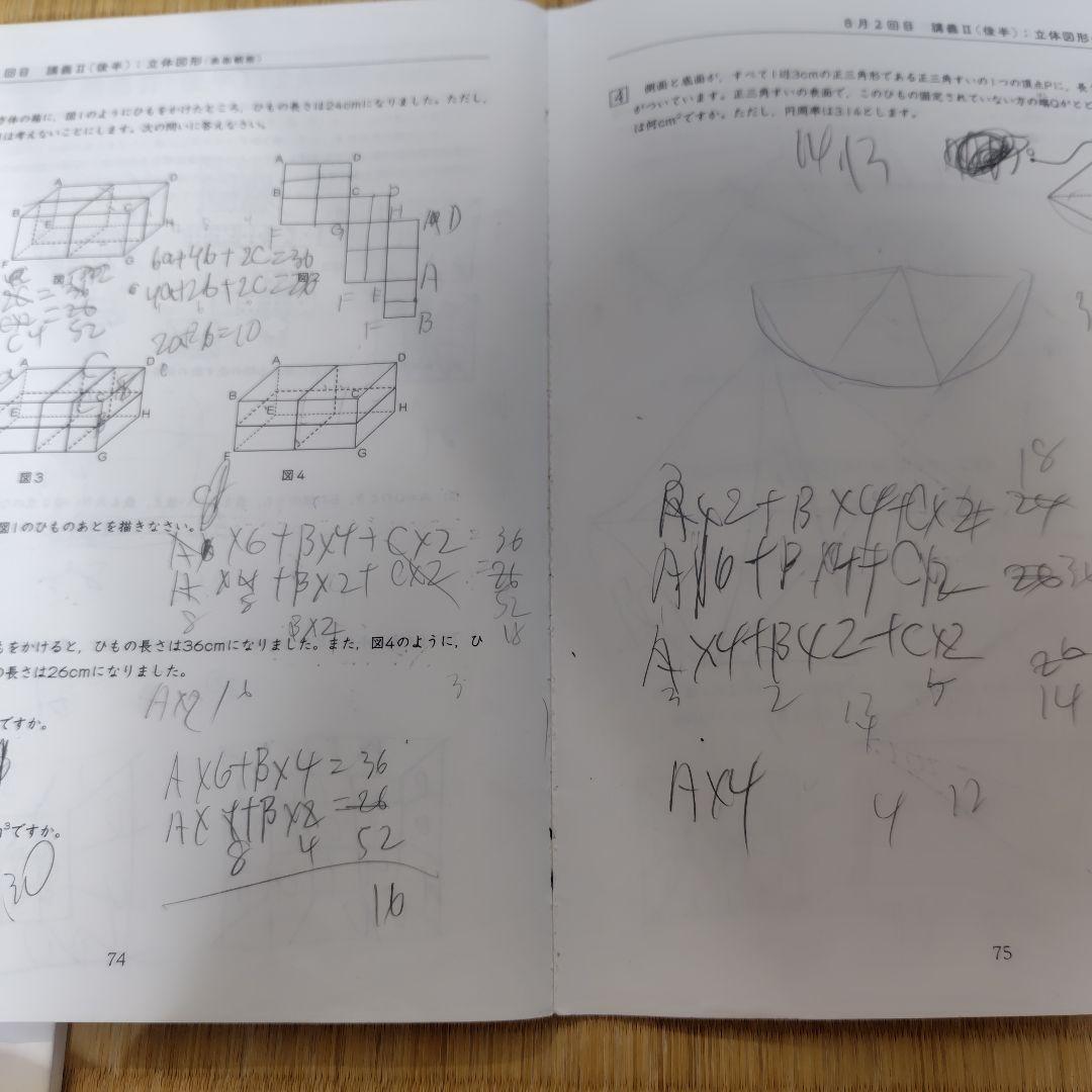 浜学園　小6算数理科国語 日曜志望校別特訓問題集 M灘　男子最難関