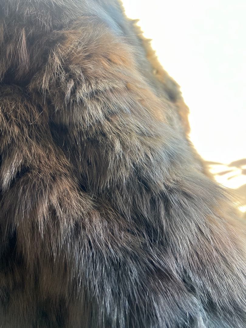 フェンディ　セーブルコート