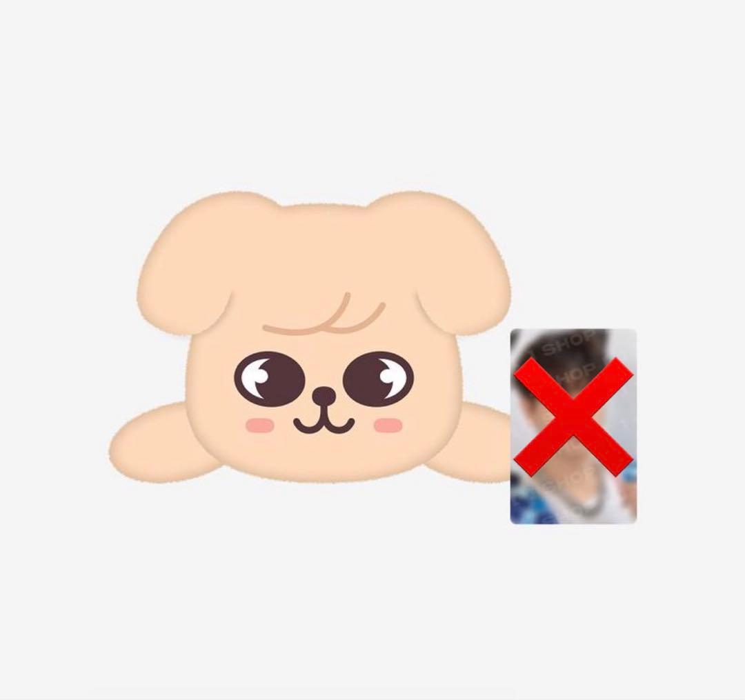 straykids スキズ　celebrate puppym スンミン　メンプロ